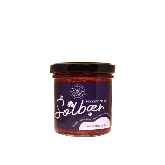 Honning med solbær 200 g
